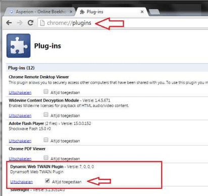 Chrome -allow -plugin